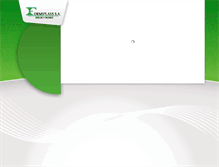 Tablet Screenshot of formiplass.com